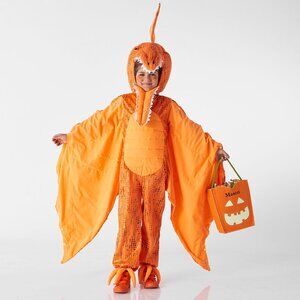 Pottery Barn Kids Pterodactyl costume, 4-6Y